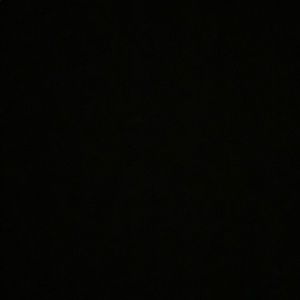 Meet your Posher, Whitney